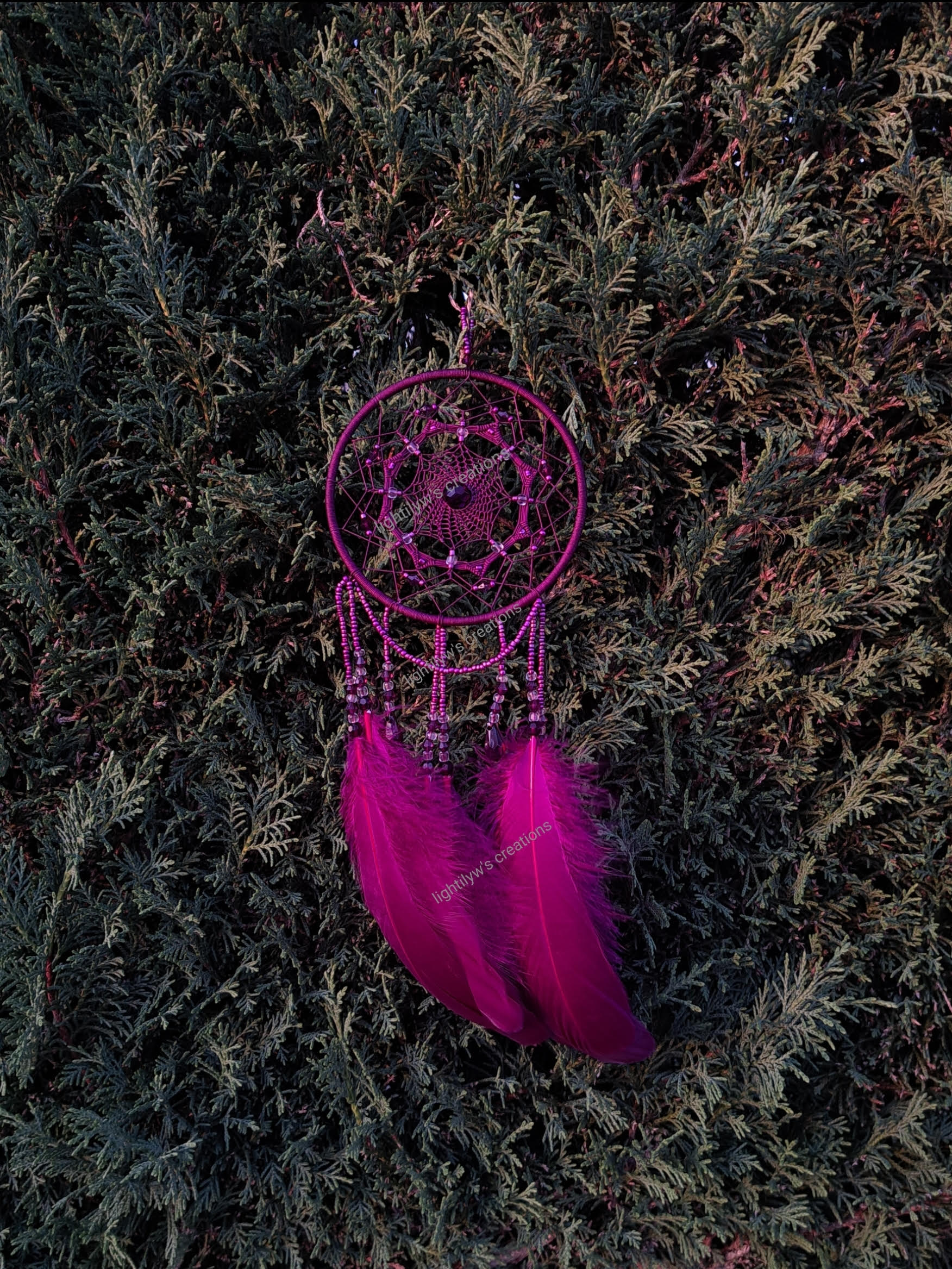 Attrape-rêve modèle Petunia